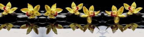 Изображение для скинали: Желтые орхидеи на черных камнях