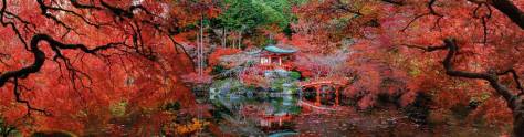 Изображение для скинали: Цветущая Япония